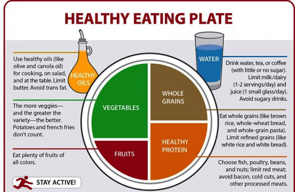 healthy eating plate