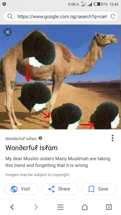 Camel hump hijab style