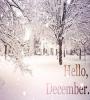 View Album - All about December/new year