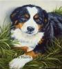 View Album - Whzon - Painting: Dog
