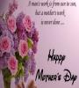 View Album - Whzon - Mothers` Day
